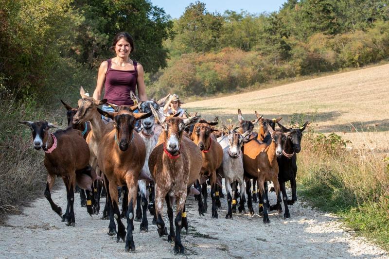 Dimanche 27 avril à 11h30 : Balade avec les biquettes dans les collines